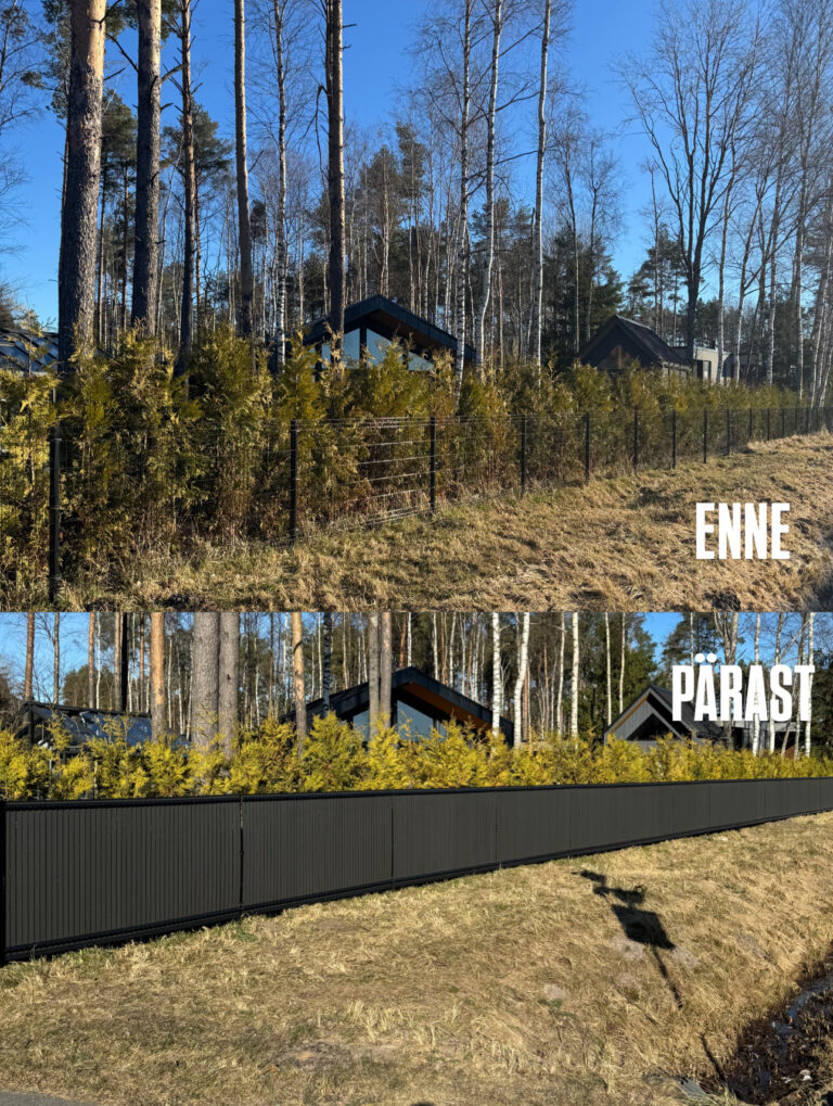 Tumehallid aialipid enne/pärasat